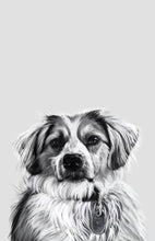 Load image into Gallery viewer, Black and White Pet Portrait - Digital