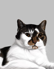 Load image into Gallery viewer, Coloured Pet Portrait - Digital