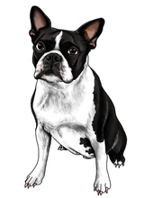 Load image into Gallery viewer, Pet Illustration