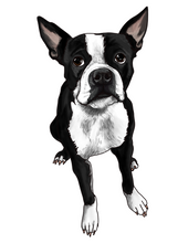 Load image into Gallery viewer, Pet Illustration