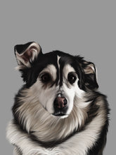 Load image into Gallery viewer, Coloured Pet Portrait - Digital
