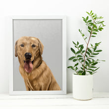 Load image into Gallery viewer, Coloured Pet Portrait - Digital
