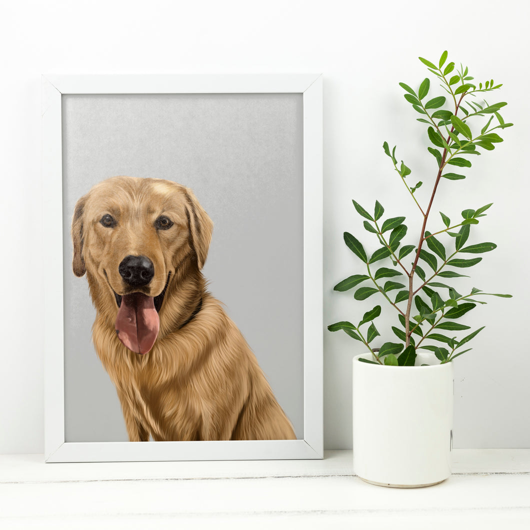 Coloured Pet Portrait - Digital