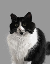 Load image into Gallery viewer, Coloured Pet Portrait - Digital