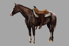 Load image into Gallery viewer, Coloured Pet Portrait - Digital