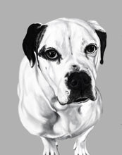 Load image into Gallery viewer, Black and White Pet Portrait - Digital