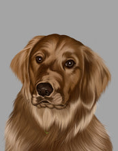 Load image into Gallery viewer, Coloured Pet Portrait