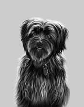 Load image into Gallery viewer, Black and White Pet Portrait