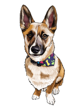 Load image into Gallery viewer, Pet Illustration