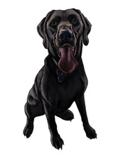 Load image into Gallery viewer, Pet Illustration