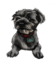 Load image into Gallery viewer, Pet Illustration