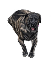 Load image into Gallery viewer, Pet Illustration