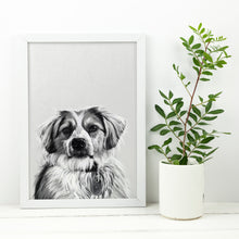 Load image into Gallery viewer, Black and White Pet Portrait - Digital
