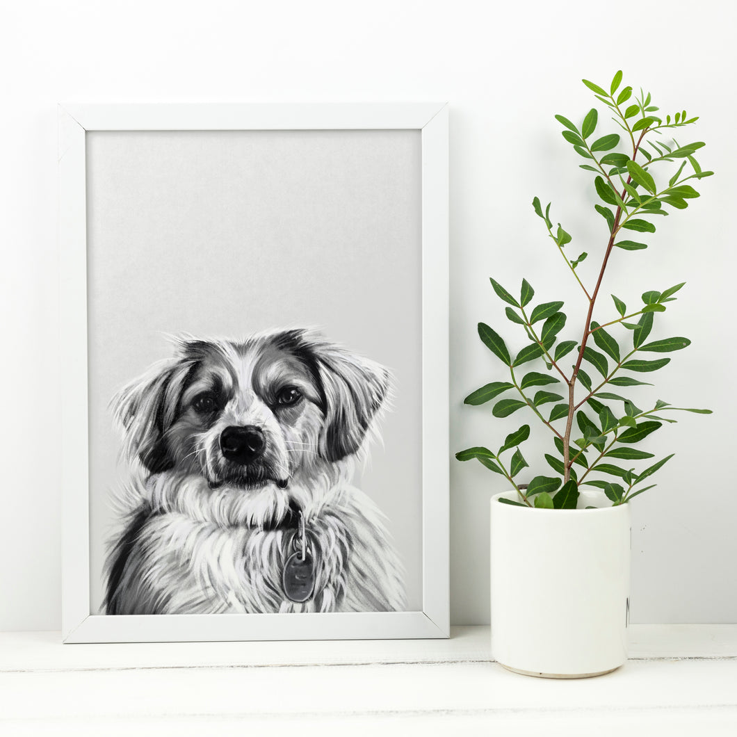 Black and White Pet Portrait - Digital
