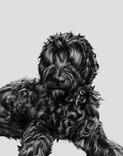 Load image into Gallery viewer, Black and White Pet Portrait - Digital
