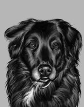 Load image into Gallery viewer, Black and White Pet Portrait
