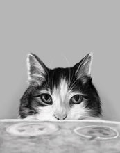 Load image into Gallery viewer, Black and White Pet Portrait
