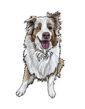 Load image into Gallery viewer, Pet Illustration
